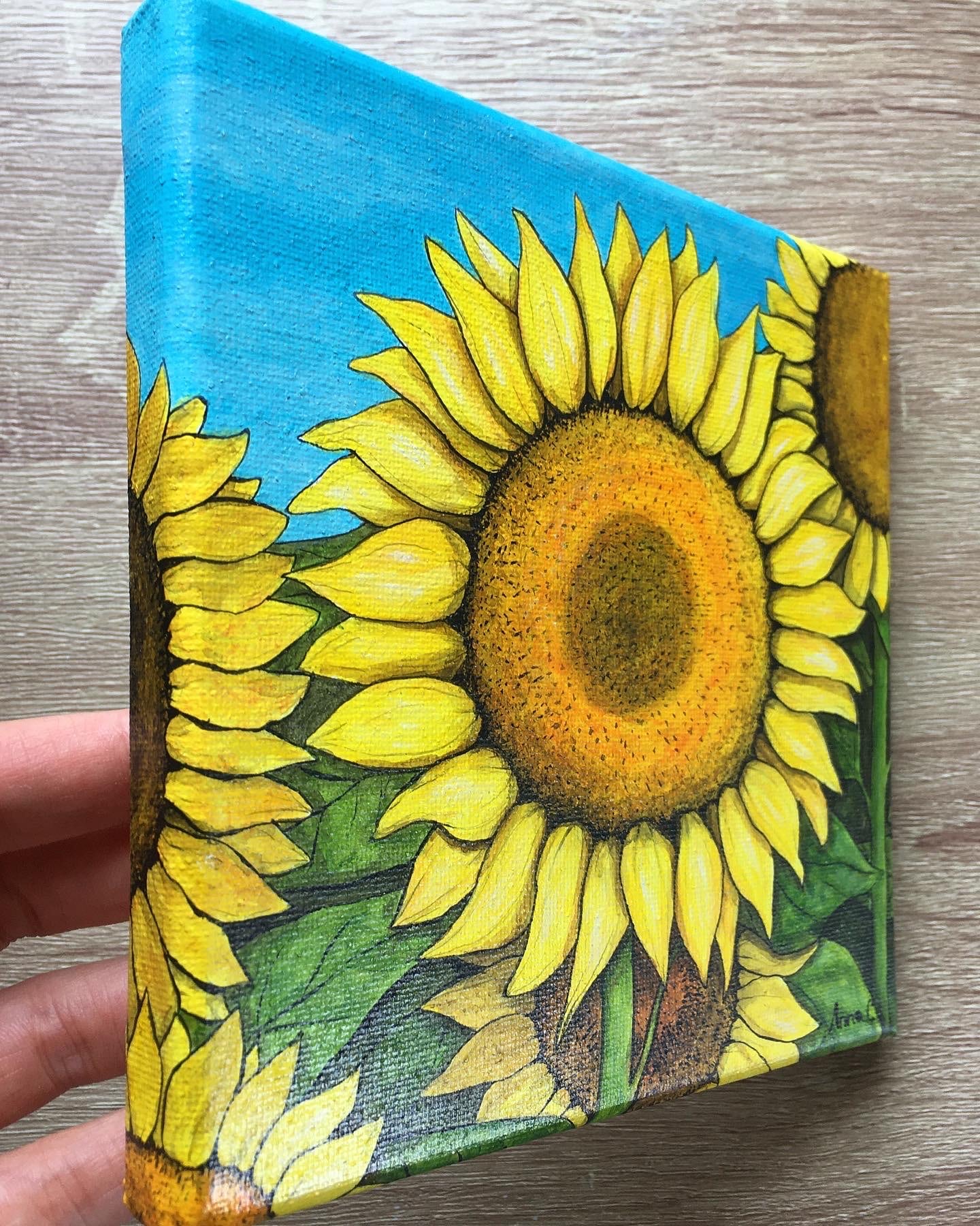 tela-girasole 16x16 (1)