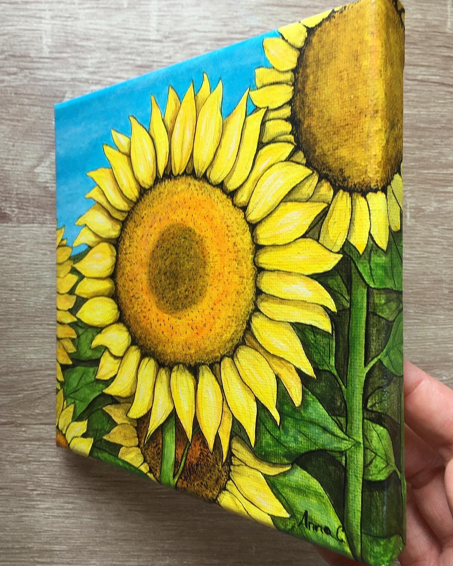 tela-girasole 16x16 (4)